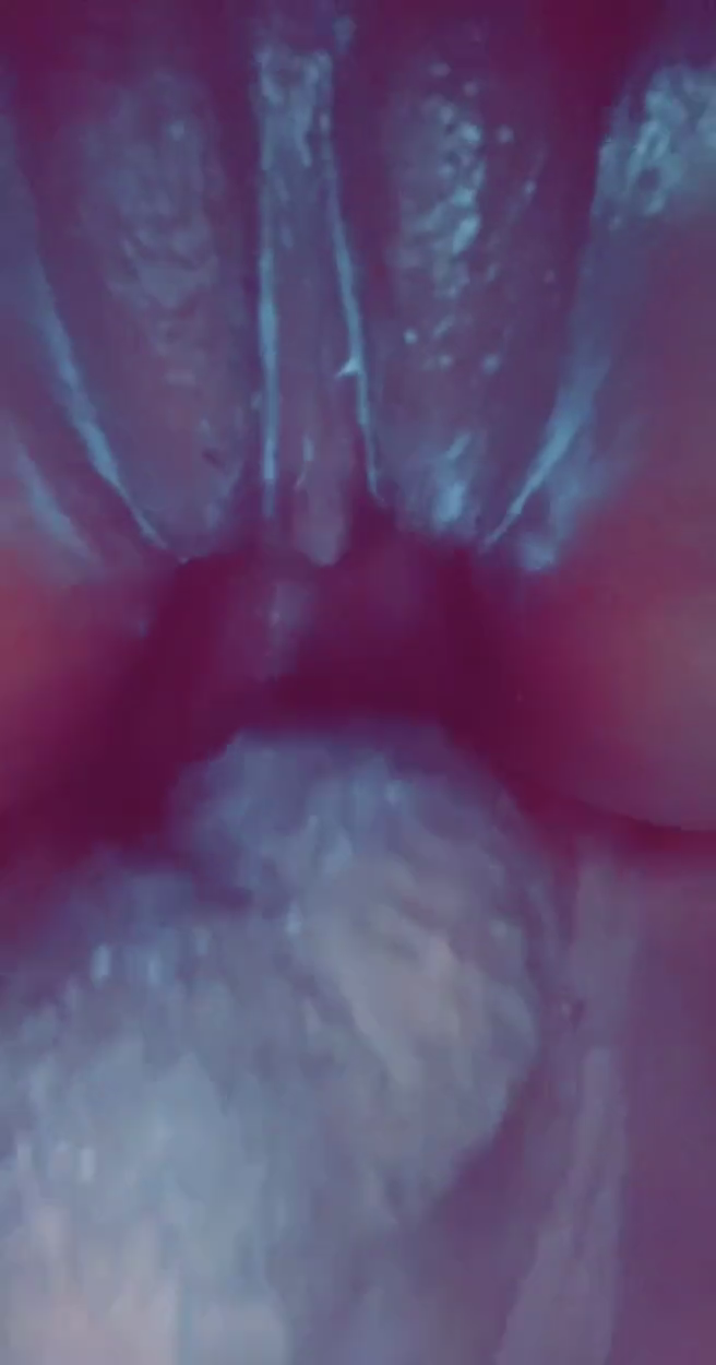 couple using a cam while fucking