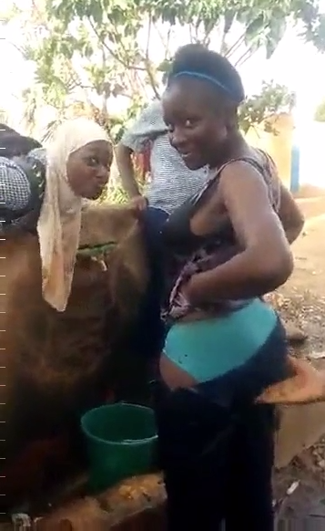 Wanafunzi wa chuo wakiwa likizo wanafanya mambo yao