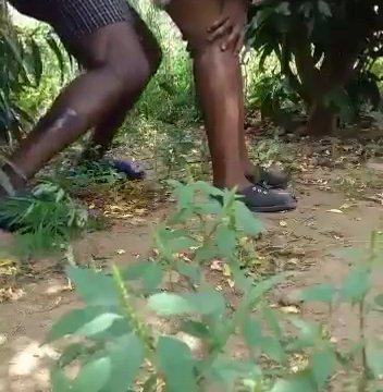 Kenyan Girl Peeing Com - kenyan pregnant woman getting fucked in the bushes â€“ Rahatupu Blog