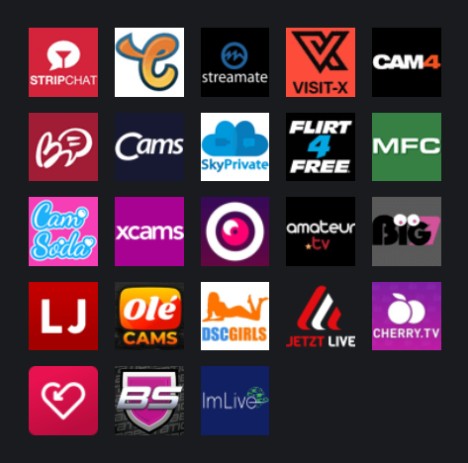 Porn Platforms